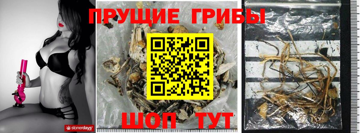 Псилоцибиновые грибы ЛСД Благовещенск